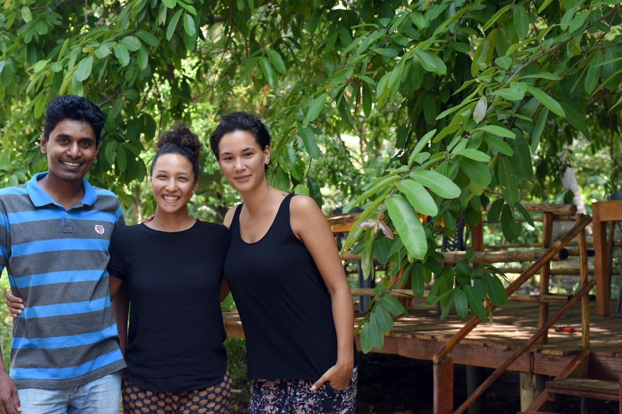 Sun And Green Eco Lodge - Dambulla Exterior foto