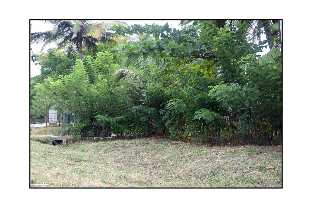 Sun And Green Eco Lodge - Dambulla Exterior foto
