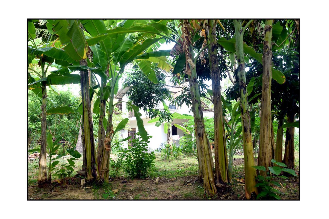 Sun And Green Eco Lodge - Dambulla Exterior foto