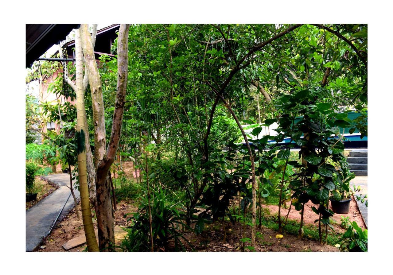 Sun And Green Eco Lodge - Dambulla Exterior foto