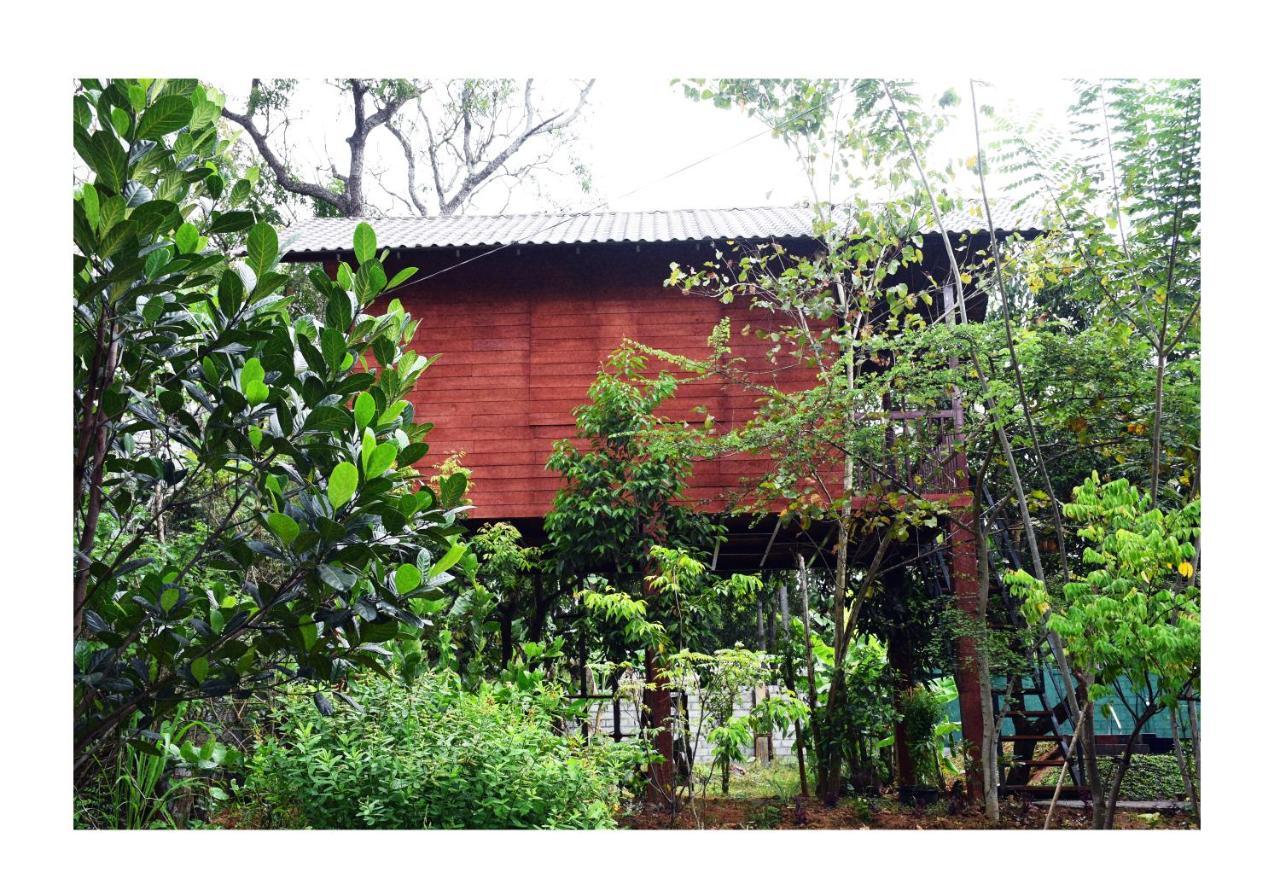 Sun And Green Eco Lodge - Dambulla Exterior foto