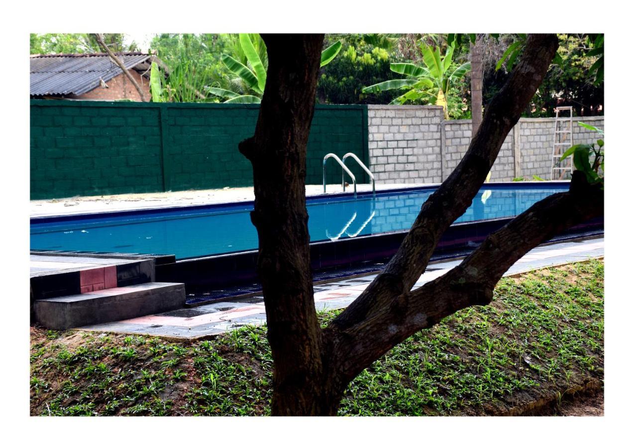 Sun And Green Eco Lodge - Dambulla Exterior foto