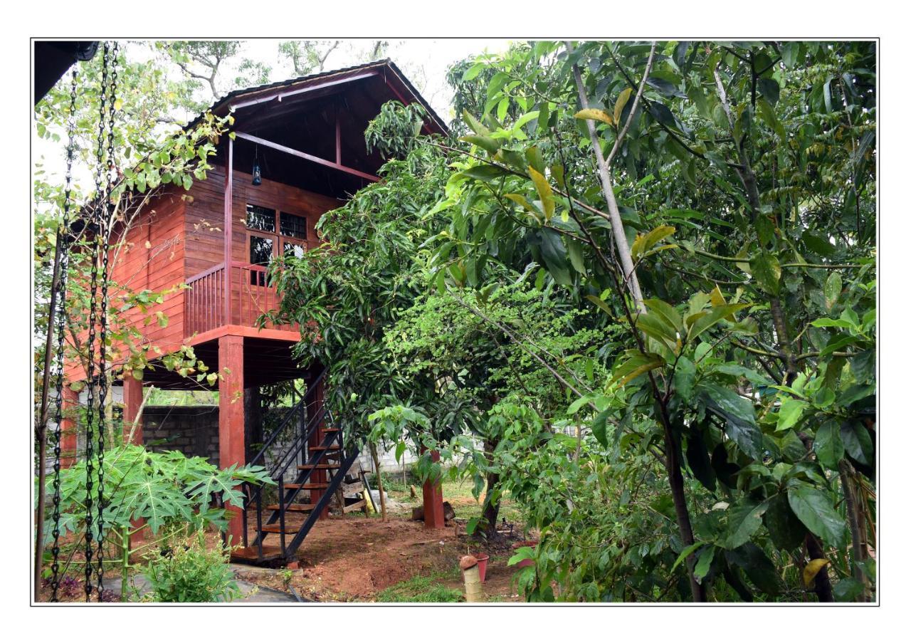 Sun And Green Eco Lodge - Dambulla Exterior foto
