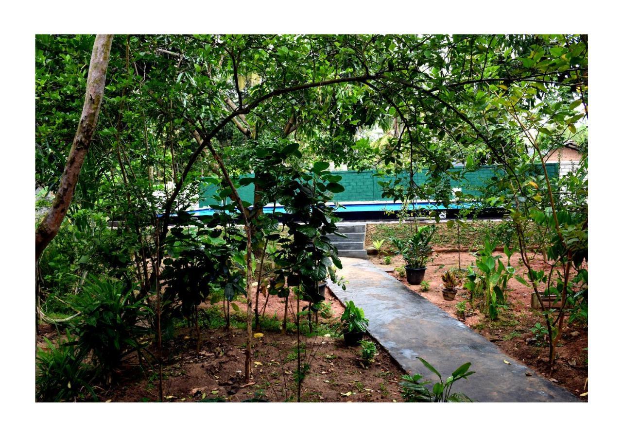 Sun And Green Eco Lodge - Dambulla Exterior foto
