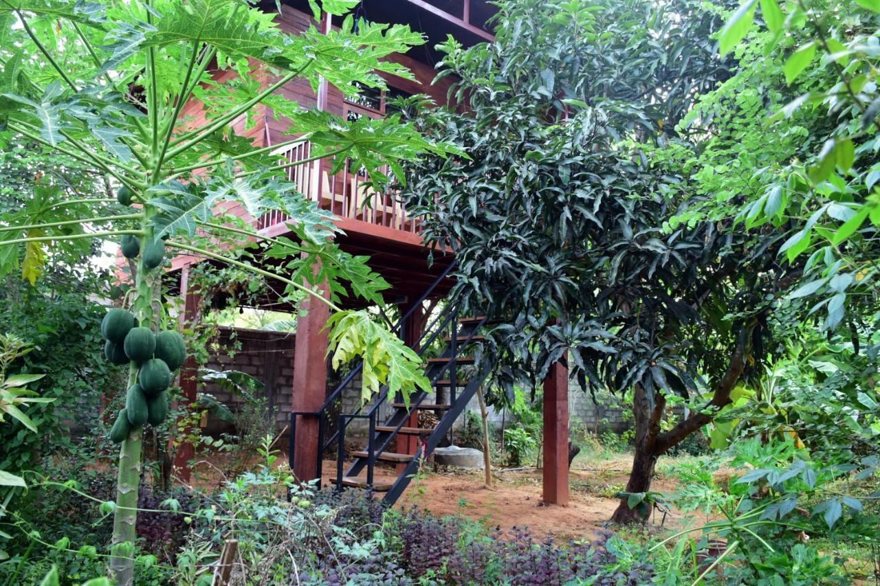 Sun And Green Eco Lodge - Dambulla Exterior foto